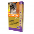 Antipulgas Advocate Gatos entre 4 e 8kg 3 pipetas