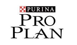 Pro Plan